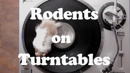 Rodents on Turntables