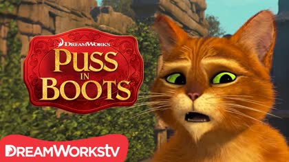 Puss In Boots  – Missing Hat