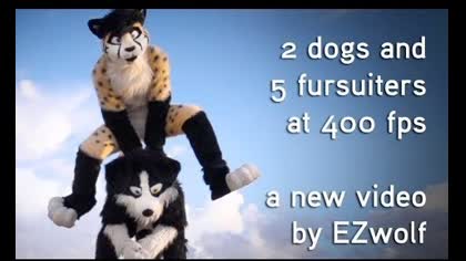 5 Fursuiters, 2 dogs at 400 fps