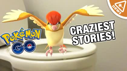 The 7 Craziest Pokemon Go Stories.