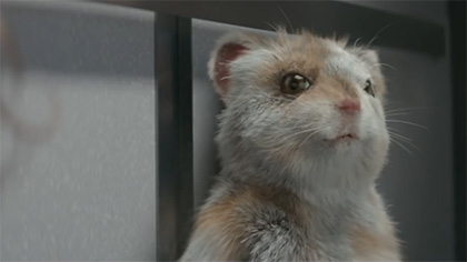 Commercial: The Turbo Hamster Has Arrived